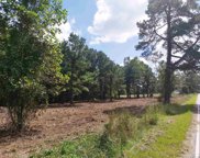 TBD Dog Bluff Rd., Galivants Ferry image
