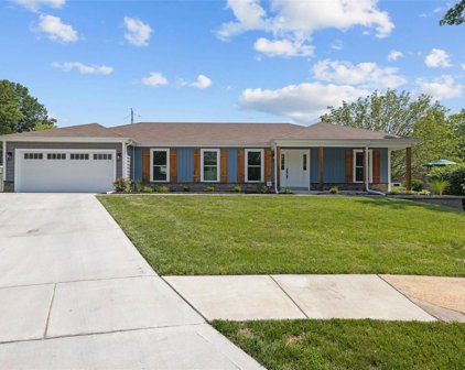 4721 Littlebury  Drive, St Louis