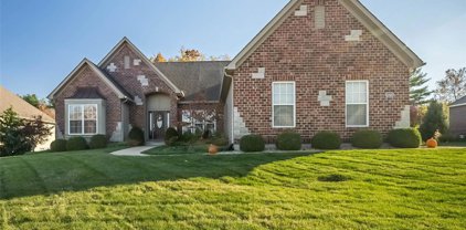 12520 Grandview Forest  Drive, St Louis