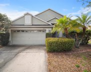 12313 Adventure Drive, Riverview image