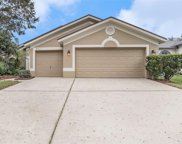 4611 Daventry Place, Valrico image