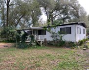 10607 Skewlee Gardens Drive, Thonotosassa image
