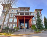 6628 120 Street Unit 213, Surrey image
