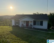 2217 Fulton Drive, Fultondale image