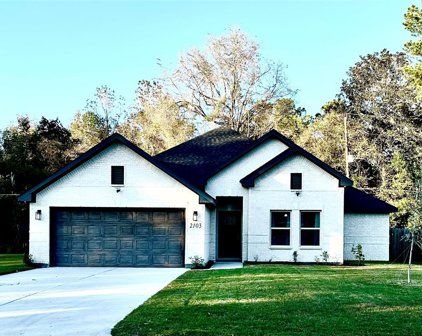 2103 Surry Oaks Drive, New Caney