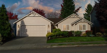17608 Redhawk Drive, Arlington