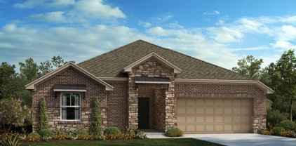 391 Sugar Cane, New Braunfels