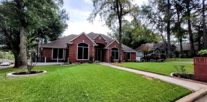 101 Piping Rock Drive, Conroe