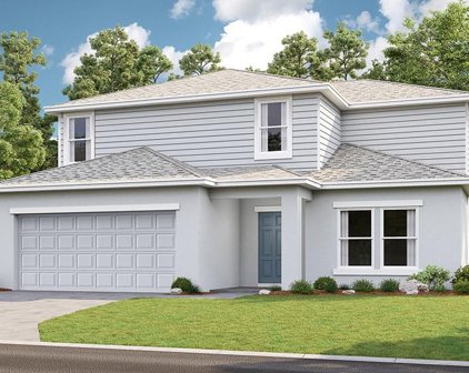 4598 Freccia Loop, Wesley Chapel