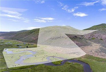 Farms & Ranches Real Estate