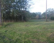 Fm Cr 319 County Road 319, Brazoria image