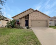 313 Apache Field Lane, La Marque image