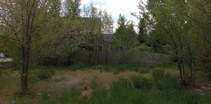 0339 Sopris Circle, Basalt
