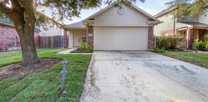 19719 Shores Edge Drive, Tomball