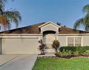 3608 Trapnell Grove Loop, Plant City image