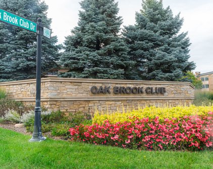 2 Oak Brook Club Drive Unit #B109, Oak Brook