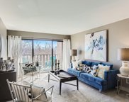 400 S Lafayette Street Unit 502, Denver image