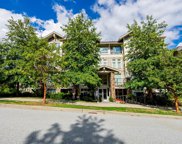 265 Ross Drive Unit 304, New Westminster image