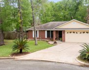 16106 Nautilus Court, Crosby image