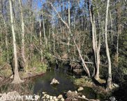 26939 Woerner Rd, Elberta image