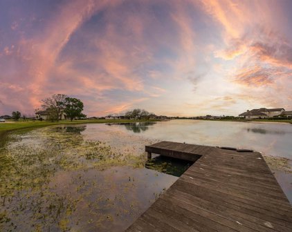146 Tige Point Drive, Katy