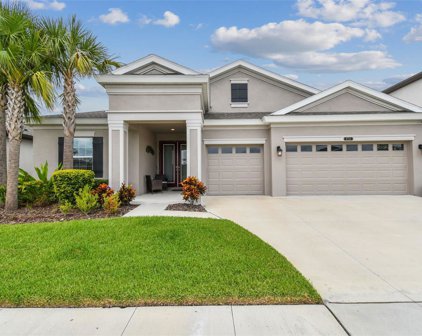 8751 White Sage Way, Land O' Lakes