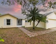 6802 Seafairer Drive, Tampa image