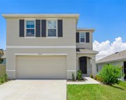 5210 Hillside Meadow Place, Tampa image