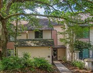 348 Spoonbill Lane, Mount Pleasant image