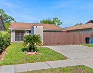 10306 Fernglen Place, Tampa image