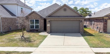 19843 Sloan Ridge Lane, Cypress