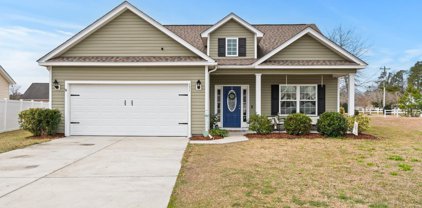 331 Pickney Ct., Conway