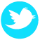 link to twitter