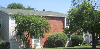 1376 E Wyndham Circle Unit #204, Palatine