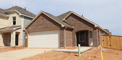 304 Flowering Orchid Lane, Willis
