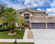 10310 Meadow Crossing Drive, Tampa image