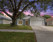 231 Lake Mccoy Drive, Apopka image