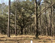 Chisolm Road, Johns Island image