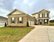 161 Towhee Way, Madison image