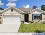 2600 Harmonia Hammock Road, St Cloud image