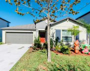 10230 Bright Crystal Avenue, Riverview image