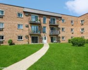 155 W Elk Trail Unit #352, Carol Stream image