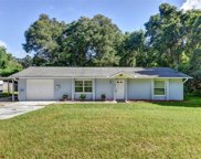 1229 Spring Garden Ranch Rd, De Leon Springs image