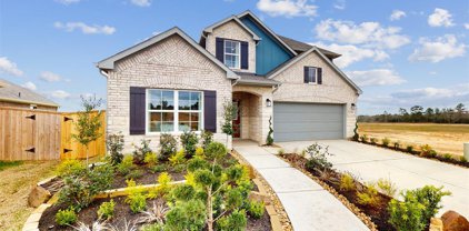 9908 Cavelier Canyon Court, Montgomery