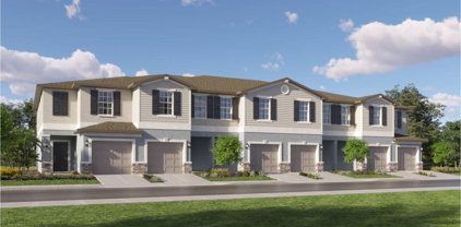 6050 Acara Lane, Land O' Lakes