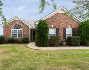 3002 Ping Ct, Spring Hill image