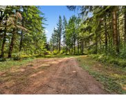 0000 SE 40th, Washougal image