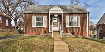 9547 Corregidor  Drive, St Louis