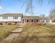 1415 Chestnut Ridge Drive, Naperville image
