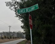 James Bellamy Circle, Little River image